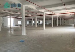 [CHO THUÊ] KHO/XƯỞNG MỚI 10.000M² TẠI KCN QUANG MINH - PCCC NGHIỆM THU
