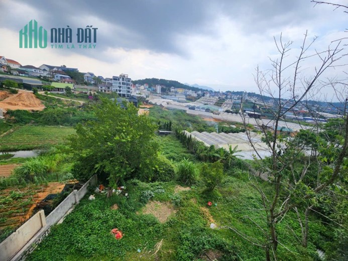 CHO THUÊ VILLA SÂN VƯỜN SIÊU RỘNG – PHƯỜNG LÂM VIÊN, ĐÀ LẠT
