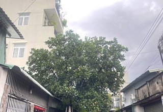 Siêu hiếm, Đất Vàng, Trung Tâm DĨ An, Quy hoạch 6 tầng, hẻm xe tải tránh, 404m, chỉ 10,3 tỷ.