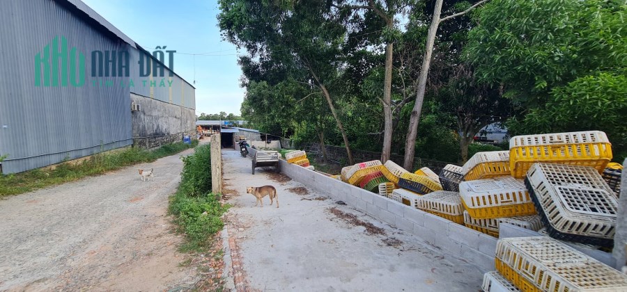 CHÍNH CHỦ CẦN BÁN 12.000M² ĐẤT TẠI ĐẶC KHU PHÚ QUỐC – ĐÓN SÓNG APEC 2027