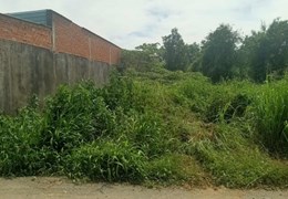Đất đẹp, mặt tiền đường 19 tháng 3, Thạnh Phước, Tân Uyên, 172m, ngang 12,6m, chỉ 2,65 tỷ.