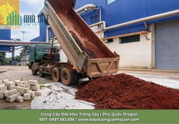 Cung Cấp Đất Màu Trồng Cây ở Đồng Nai, TP. HCM