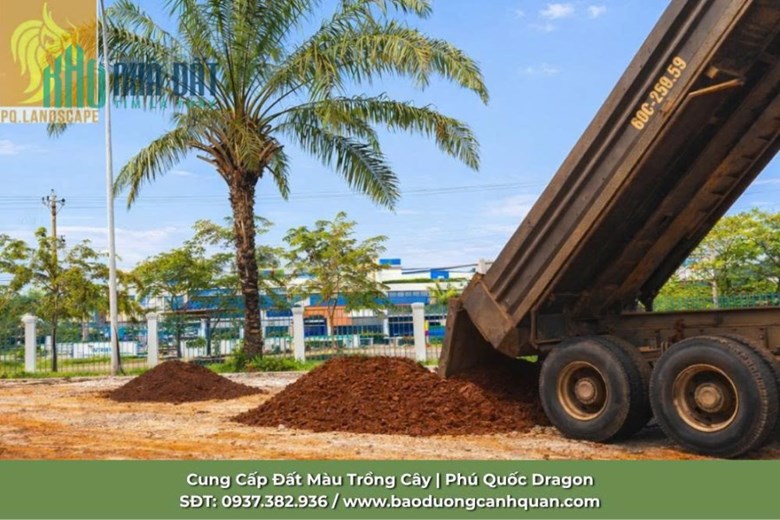 Cung Cấp Đất Màu Trồng Cây ở Đồng Nai, TP. HCM