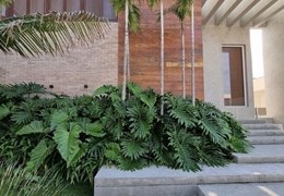 Thiết Kế Sân Vườn Trọn Gói Giá Rẻ Tại Đồng Nai, TP.HCM