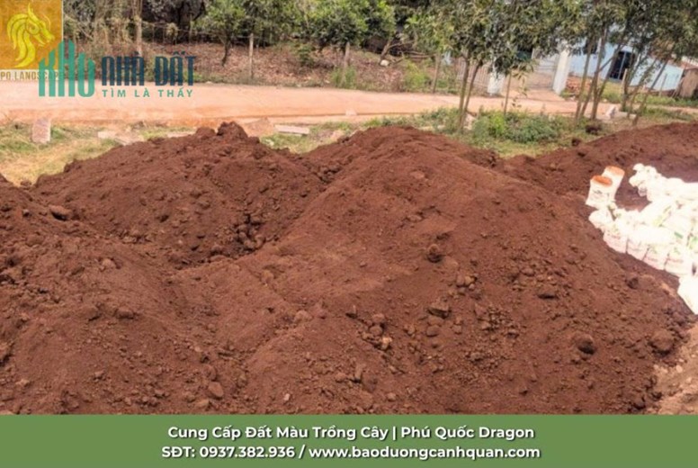 BÁN ĐẤT MÀU TRỒNG CÂY GIÁ YÊU THƯƠNG TAI ĐỒNG NAI