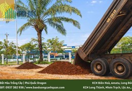CUNG CẤP ĐẤT MÀU PHÙ SA - ĐẤT TRỒNG CÂY TẠI ĐỒNG NAI