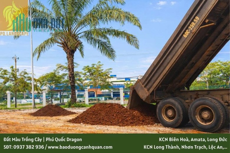 CUNG CẤP ĐẤT MÀU PHÙ SA - ĐẤT TRỒNG CÂY TẠI ĐỒNG NAI