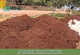 Phú Quốc Dragon đơn vị chuyên cung cấp đất màu dinh dưỡng trồng cây tại Đồng Nai