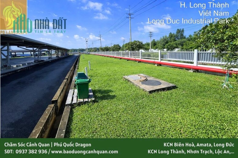 Dịch vụ trồng cây cảnh quan chuyên nghiệp - uy tín tại Đồng Nai