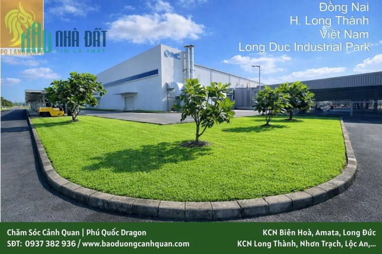 Dịch vụ trồng cây cảnh quan chuyên nghiệp - uy tín tại Đồng Nai
