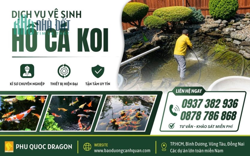 Dịch vụ vệ sinh hồ cá Koi chuyên nghiệp HCM, Đồng Nai