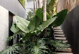 Sân vườn đẹp như Resort – Không còn là nỗi lo bão dưỡng!