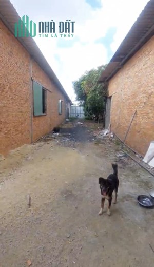 Nhà xưởng cho thuê 400m2, An Phú Đông Quận 12