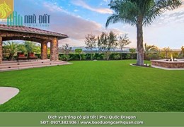Giải pháp sân golf chuyên nghiệp - Nâng tầm đẳng cấp sân golf
