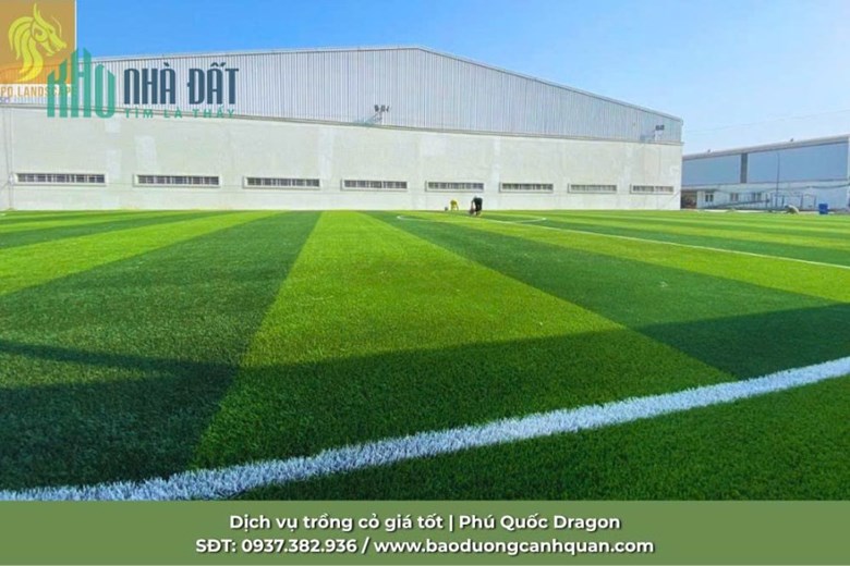 Giải pháp sân golf chuyên nghiệp - Nâng tầm đẳng cấp sân golf