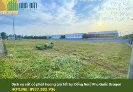 Dịch vụ trồng cỏ chuyên nghiệp - Giá tốt, làm tận tâm tại Đồng Nai