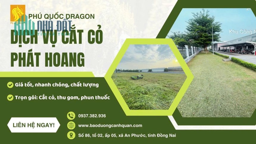 Dịch vụ trồng cỏ chuyên nghiệp - Giá tốt, làm tận tâm tại Đồng Nai