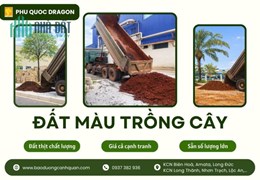 🌱 Bán đất màu trồng cây chất lượng, giá tốt, giao hàng nhanh khu vực Đồng Nai