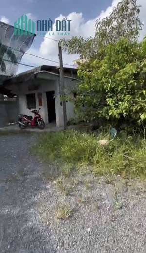 Cho thuê đất nông nghiệp 1900m2 Thạnh Xuân Quận 12