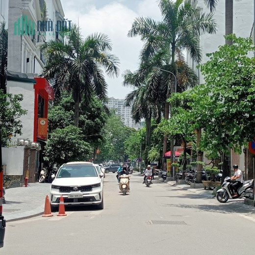 Bán căn biệt thự khu Lão Thành Cách Mạng Yên Hòa, Cầu Giấy DT 280m², 6 tầng 1 hầm lô góc, giá 165 TỶ