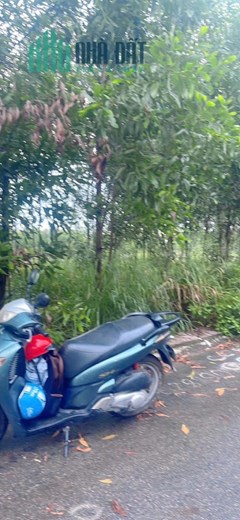Bán gấp, 2 Lô đất siêu đẹp liền kề, An Viễn, Đồng Nai,225m,ngang 10m,full thổ,chỉ 2,95tỷ