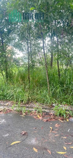 Kẹt tiền bán gấp 2 Lô đất siêu đẹp liền kề, ngang 10m, An Viễn, Đồng Nai, 225m, chỉ 2,35 tỷ.