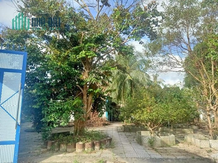 Bán gấp Mặt đường Quản Lộ Phụng Hiệp, Tân Thành, Cà Mau, 8898m, ngang 69m, chỉ 29 tỷ.