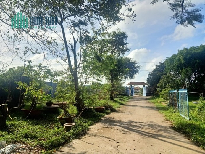 Bán gấp Mặt đường Quản Lộ Phụng Hiệp, Tân Thành, Cà Mau, 8898m, ngang 69m, chỉ 29 tỷ.