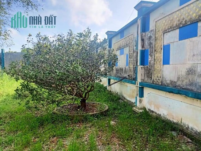 Bán gấp Mặt đường Quản Lộ Phụng Hiệp, Tân Thành, Cà Mau, 8898m, ngang 69m, chỉ 29 tỷ.