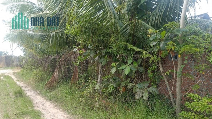 Bán gấp 9 công đất, Ấp Sa Nghe, An Cơ, Châu Thành, Tây Ninh, chỉ 1,9 tỷ.