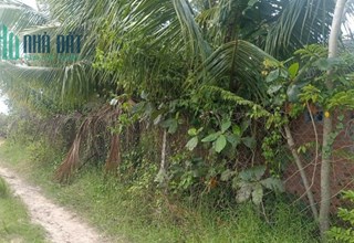 Bán gấp 9 công đất, Ấp Sa Nghe, An Cơ, Châu Thành, Tây Ninh, chỉ 1,9 tỷ.