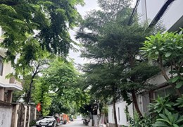 Bán nhà Đường số 23, Hiệp Bình Chánh, Thủ Đức, 156m, ngang 8m, xe hơi, chỉ 12,5 tỷ. + Diện tích 156m