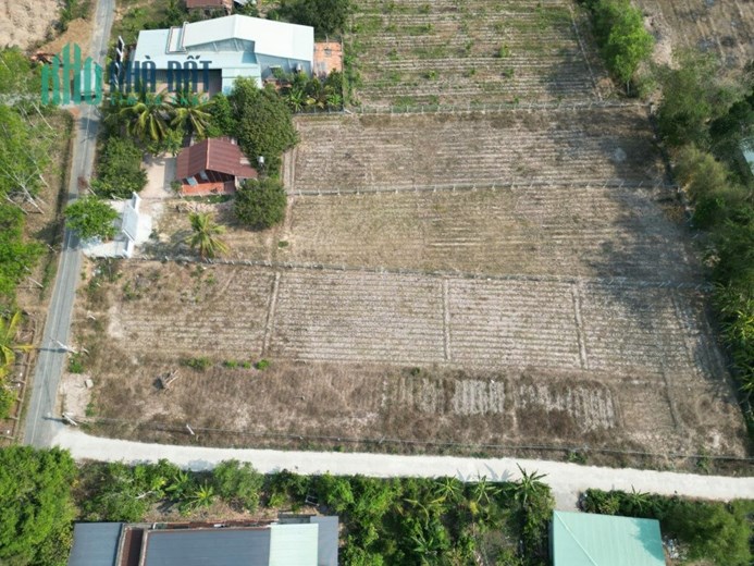CHÍNH CHỦ CẮT LỖ HƠN 30% – BÁN GẤP ĐẤT FULL THỔ CƯ TÂY NINH