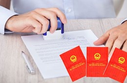 Bố mẹ hứa cho đất nhưng chậm sang tên sổ đỏ có bị phạt không?
