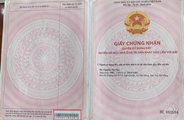 GCN quyền sử dụng đất không có mã vạch ở trang cuối là thật hay giả?