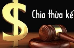 Tranh chấp về di sản thừa kế