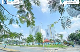 Seareal R tìm kiếm nhân sự phù hợp để đồng hành phát triển