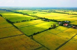Farmstay nở rộ, tách thửa đất nông nghiệp, đất rừng trái phép diễn ra tràn lan