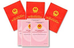 Giấy chứng nhận quyền sử dụng đất bị cấp sai, giải quyết như thế nào?