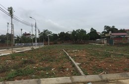 Covid-19 tái phát, giới đầu tư vào cuộc “bắt đáy” thị trường?