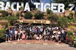 Tăng sản phẩm phân phối: Sao Việt tuyển dụng thêm 100 sale
