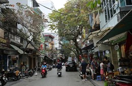 Sau Covid-19, người trẻ nội thành xê dịch tìm nhà xanh, sang