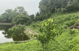 Giới đầu tư đổ về vùng ven săn đất