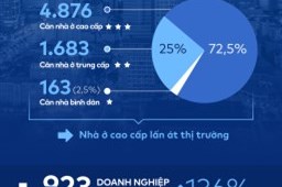 Thị trường BĐS TP.HCM 10 tháng đầu năm 2020 qua những con số [Infographic]