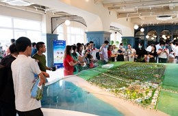 Nguồn cung hạn chế, dân đầu tư “nằm vùng” Hồ Tràm săn đất sạch