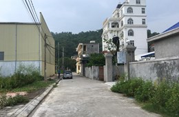 Cuối năm, giới đầu tư ồ ạt đổ tiền vào điểm nóng BĐS mới