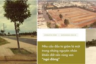 Thị trường bất động sản 2020: Khi đất nền bị "bỏ quên"