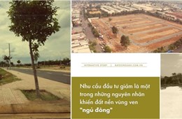 Thị trường bất động sản 2020: Khi đất nền bị "bỏ quên"