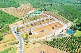 Công an vào cuộc điều tra vụ phân lô bán đất nông nghiệp ở Bảo Lộc