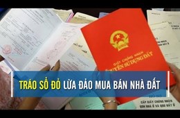 Chiêu đánh tráo sổ đỏ, lừa bán đất tinh vi